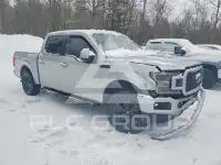 2020 Ford F-150 фото