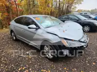 2020 Hyundai Elantra фото