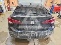 2020 Hyundai Elantra фото