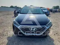 2020 Hyundai Ioniq фото