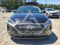 2020 Hyundai Ioniq фото