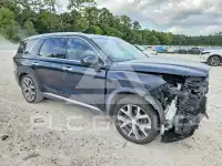 2020 Hyundai Palisade photo