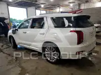 2020 Hyundai Palisade фото