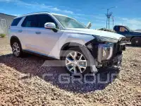 2020 Hyundai Palisade фото