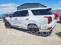 2020 Hyundai Palisade фото