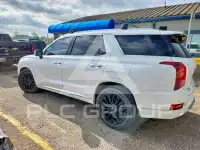 2020 Hyundai Palisade photo