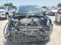 2020 Volkswagen Tiguan фото