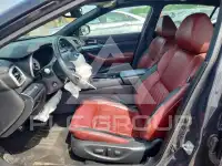 2021 Nissan MAXIMA photo