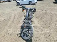2021 Harley-Davidson XL883 фото