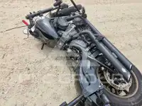 2021 Harley-Davidson  photo