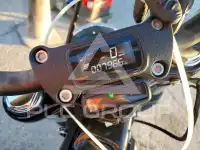 2021 Harley-Davidson  photo