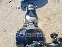 2021 Harley-Davidson  photo