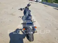 2021 Harley-Davidson  photo