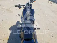 2021 Harley-Davidson  photo