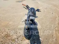 2021 Harley-Davidson  фото
