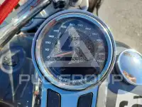 2021 Harley-Davidson FL фото