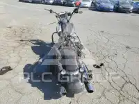 2021 Harley-Davidson FL photo