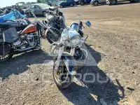 2021 Harley-Davidson FL фото