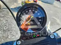 2021 Harley-Davidson Sportster120 фото