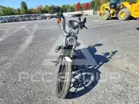 2021 Harley-Davidson Sportster120 фото
