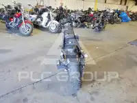 2021 Harley-Davidson Sportster120 фото
