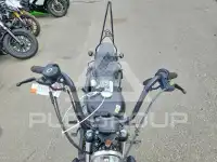 2021 Harley-Davidson Sportster120 фото