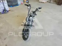 2021 Harley-Davidson Sportster120 фото
