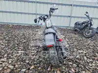 2021 Harley-Davidson XL1200 фото
