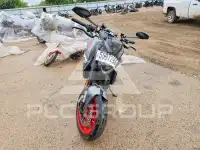 2021 Ducati Monster фото