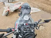 2021 Ducati Monster фото