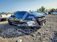 2021 BMW X4 фото