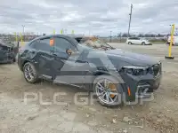 2021 BMW X4 фото
