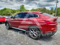 2021 BMW X4 фото