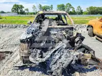2021 BMW X7 фото
