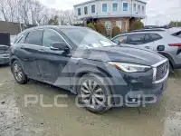 2021 Infinity QX50 photo