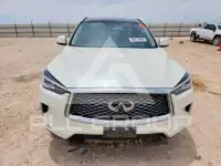2021 Infinity QX50 photo