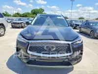 2021 Infinity QX50 фото
