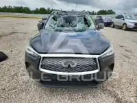 2021 Infinity QX50 фото
