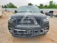 2021 Infinity QX80 photo