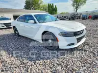 2021 Dodge CHARGER фото