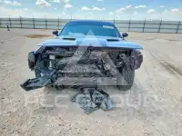 2021 Dodge CHALLENGER фото