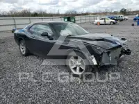 2021 Dodge CHALLENGER фото