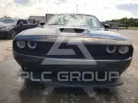 2021 Dodge CHALLENGER фото