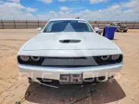 2021 Dodge CHALLENGER фото