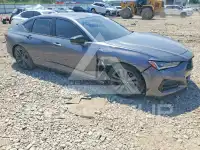 2021 Acura TLX photo