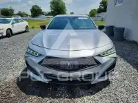 2021 Acura TLX фото
