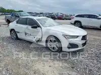 2021 Acura TLX фото