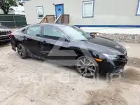 2021 Honda CIVIC photo