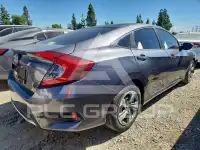 2021 Honda CIVIC photo