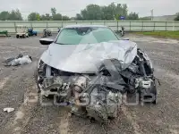 2021 Honda CIVIC photo